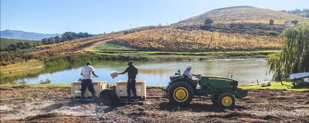 a104dd9a-554e-6acd-5fd2-f4702c3b8d37 (1) Paul Wallace on a tractor tending to block for new vineyards.