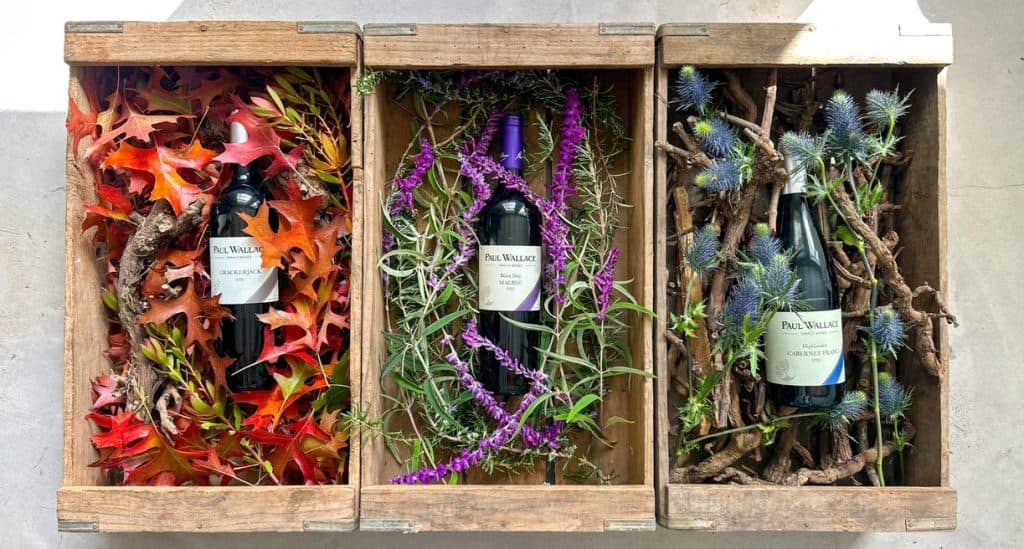Elegant wine bottles nestled in autumn-themed natural arrangements.